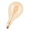 BAILEY 80100038766 Vintage-Lampe Big Papi E27 3W Gold Dimmbar -Beleuchtungs Geschäft 0befa9c33cb487c9f9d25b82baa4e60dd195ced5