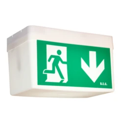 B.E.G. 93001 Classic BD21/Kombi-GL/W/D BEG Safetylux Notleuchte