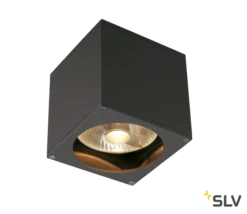 SLV 229565 BIG THEO WALL, Outdoor Wandleuchte, QPAR111, IP44, Eckig, Max. 75W