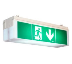 B.E.G. 7894 2DN14/8/EVG/W/DBEG Safetylux Notleuchte Classic